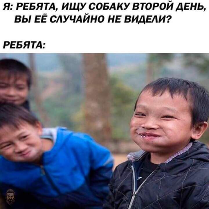 я РЕБЯТА ищу совдку второй день вы ЕЁ случдйно НЕ ВИДЕШ РЕБЯ ТА