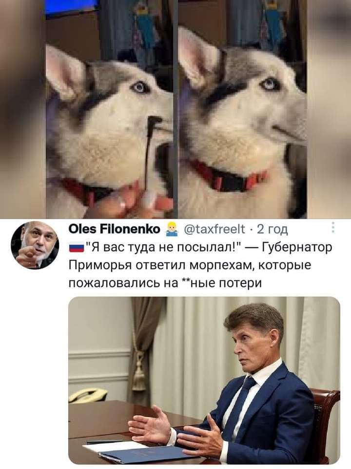0ви Рііопепко _ цртпхпгеп 2 год рия вас туда не посыпал _ Губернатор Приморья ответил морпехам которые пожаловались на ные потери