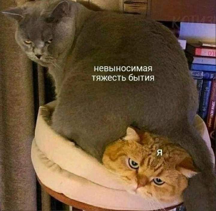 невыносимая тяжесть бьпия