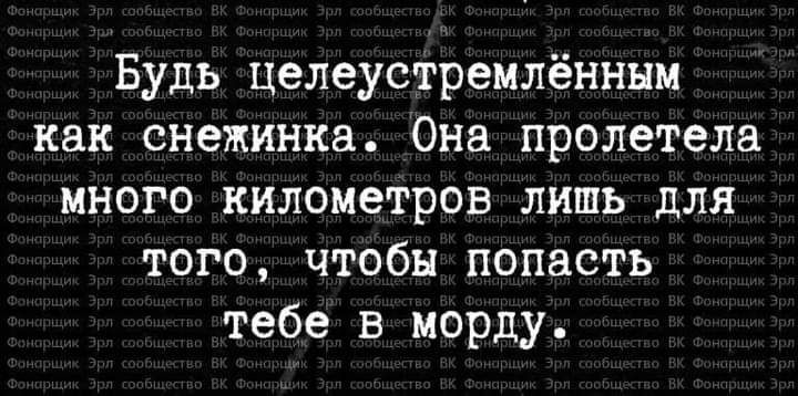 Будь целеустремлённнм как снежинка Она пролетела много километров лишь для того чтобы попасть тебе в морду