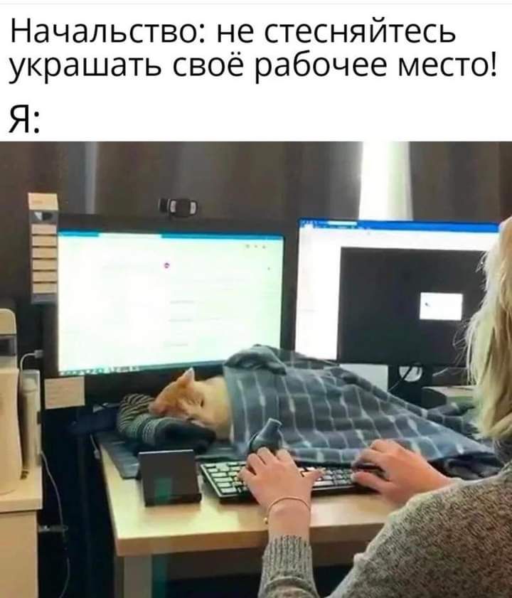 Начальство не стесняйтесь украшать своё рабочее место Я