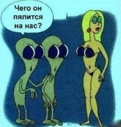 Чего он пялится на нас