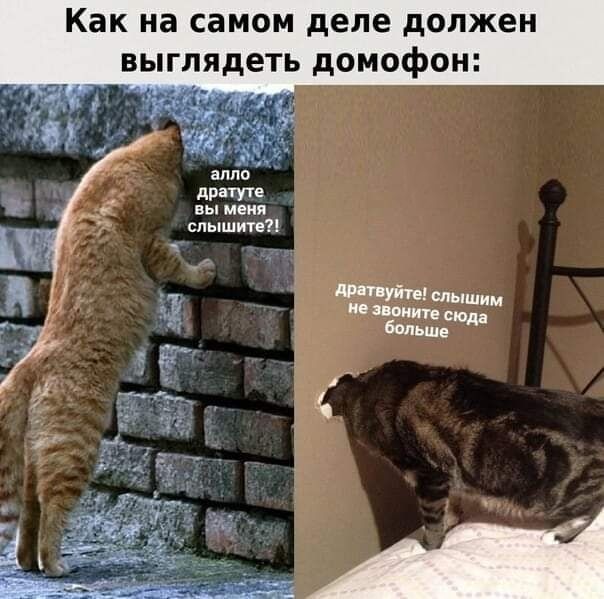 Как на самом деле должен выглядеть домофон