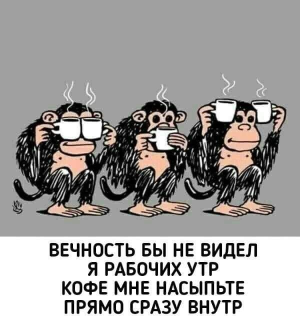ВЕЧНОСТЬ БЫ НЕ ВИДЕЛ Я РАБОЧИХ УТР КОФЕ МНЕ НАСЫПЬТЕ ПРЯМО СРАЗУ ВНУТР