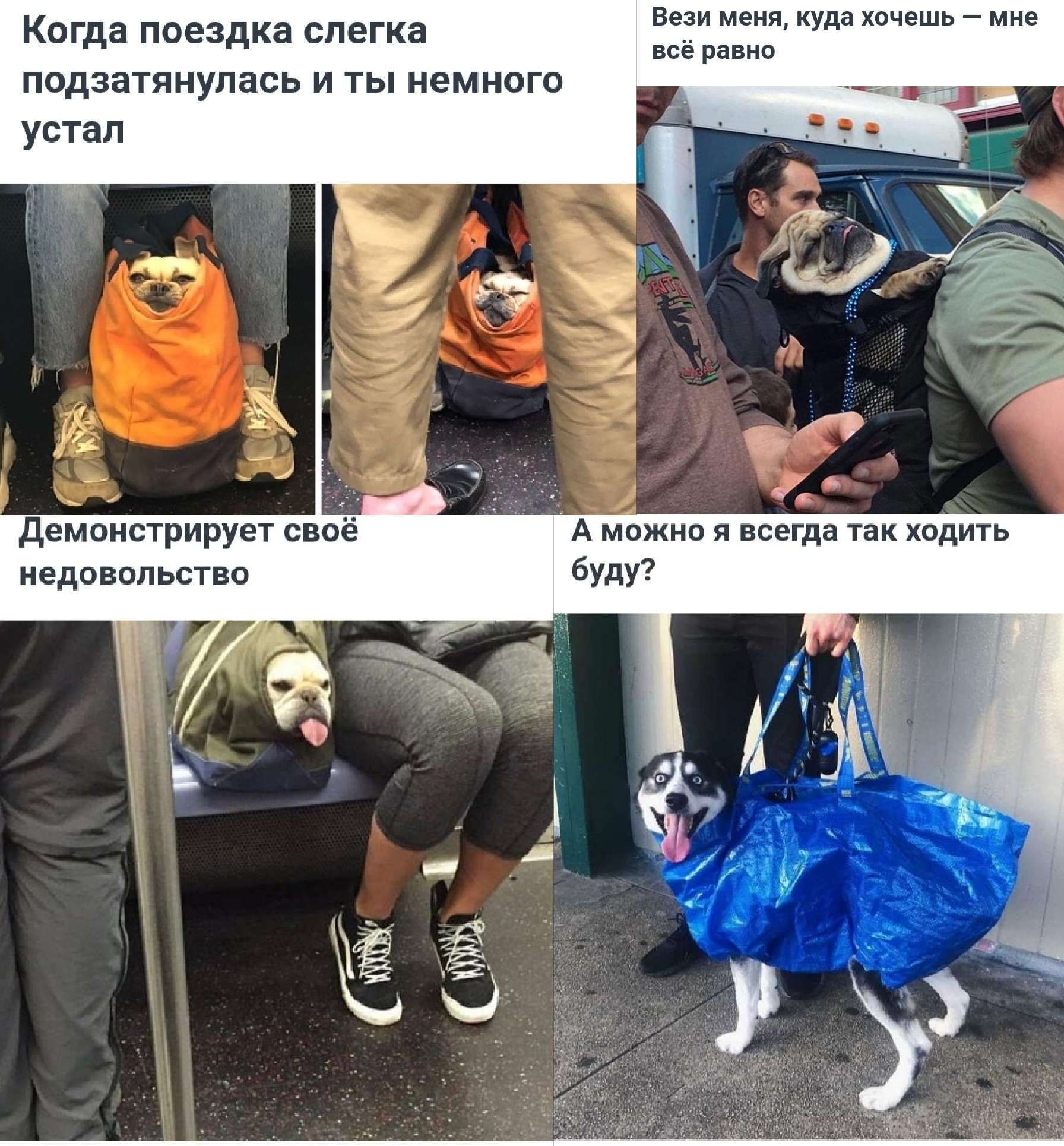 Вии куда Хочешь Когда поездка слегка подзатянупась и ты немного устал емпцстрирун свое вдовальпво д машин и всегда так хпдичь вуду