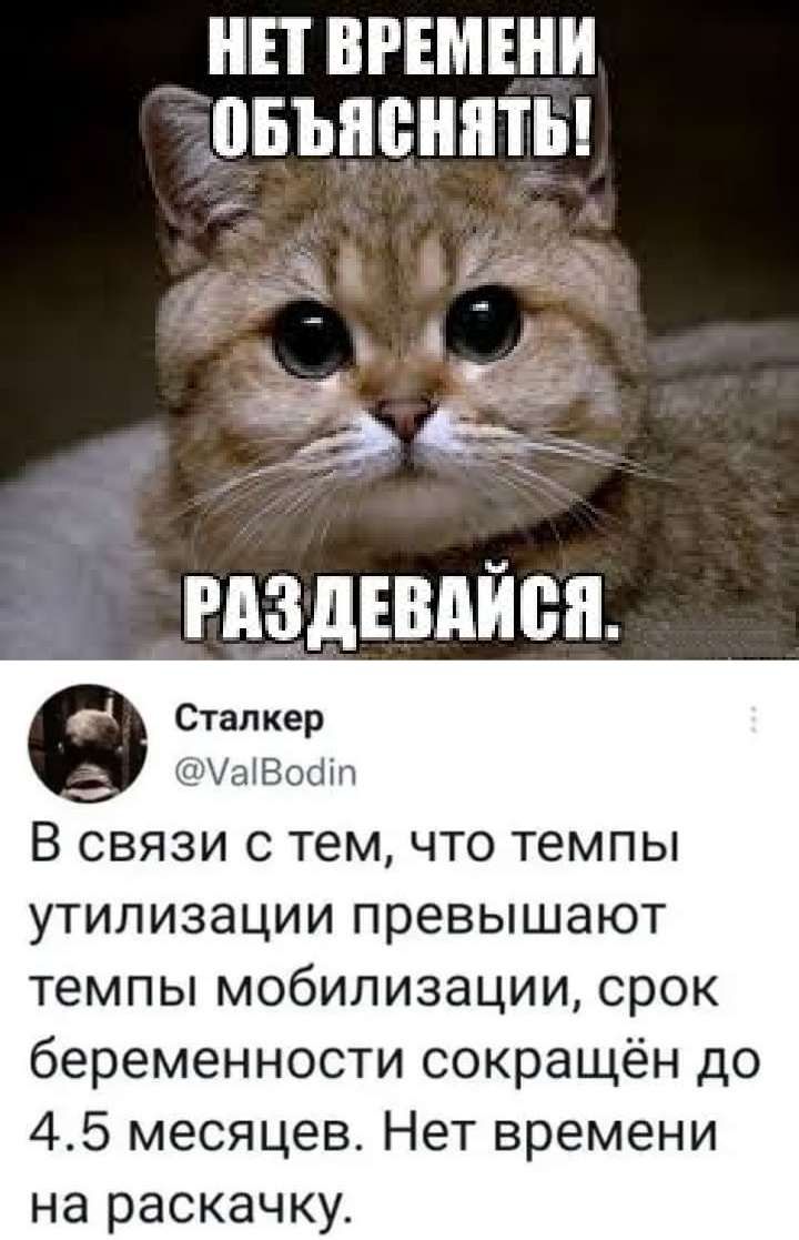 НЕТ ВРЕМЕНИ ПБЪЯСНЯТЫ 3331 РАЁДЕВАЙВП Сталкер 1180111 В СВЯЗИ С тем ЧТО ТЕМПЫ утилизации превышают темпы мобилизации срок беременности сокращён до 45 месяцев Нет времени на раскачку