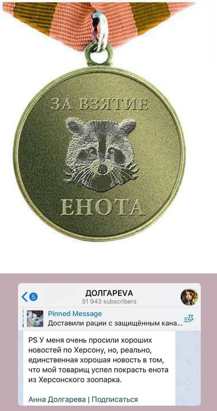 ЦОПГАРЕЧА 51943 зышэишщз Риппвн Меввпяе доставили рации защищённым хана РЗ у меня очень просили хороших новостей по Херсону но реально единсшенная хорошая новосш в том что мой тпварищ успел покрасть енота ИЗ ХерСОНСКОГП зоопарка Анна долгарева Подписаться