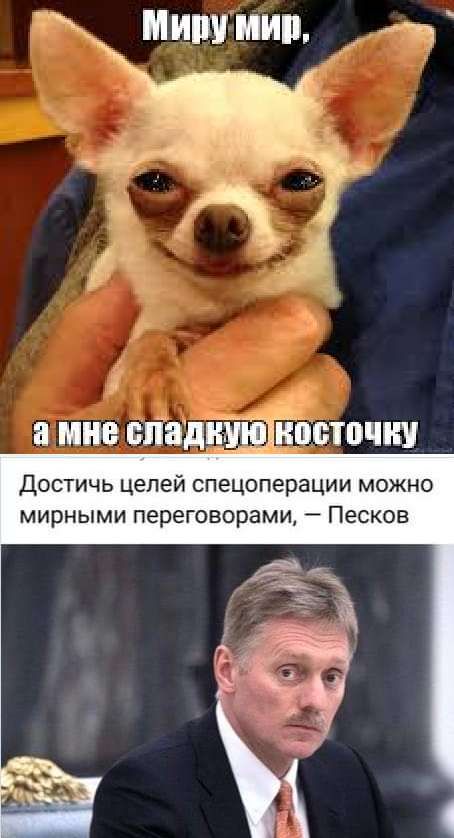 МИПУМИП 1 Достичь цепей спецоперации можно мирными переговорами _ Песков