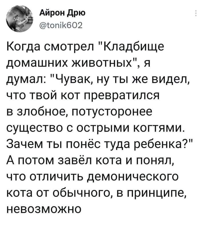 Айрон дрю отКбОЁ Когда смотрел Кладбище домашних животных я думал Чувак ну ты же видел что твой кот превратился в злобное потусторонее существо с острыми когтями Зачем ты понёс туда ребенка А потом завёл кота и понял что отличить демонического кота от обычного в принципе невозможно