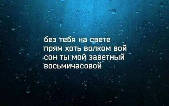 без тебя на свете прям хоть волком вай впн ты мой заветный впеьмичаспвой