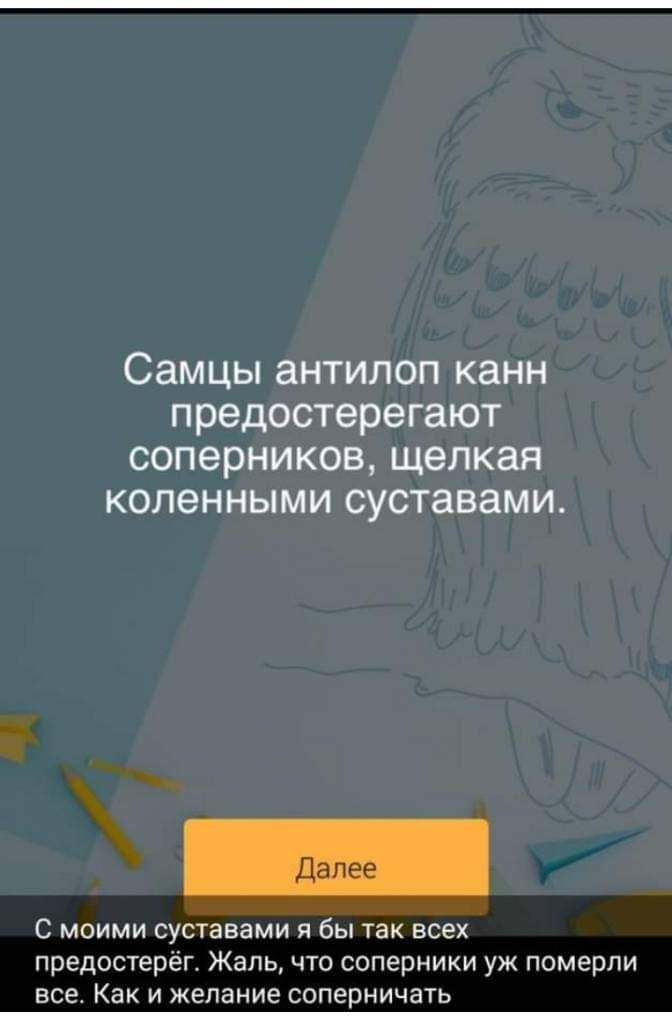 самцы ВНТИЛОП КЗНН предостерегают СОПЭРНИКОВ щелкая КОПЗННЫМИ суставами