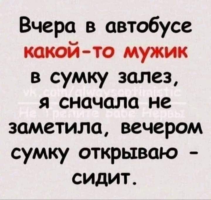 Вчера в автобусе какой то мужик в сумку залез я сначала не заметила вечером сумку открываю сидит