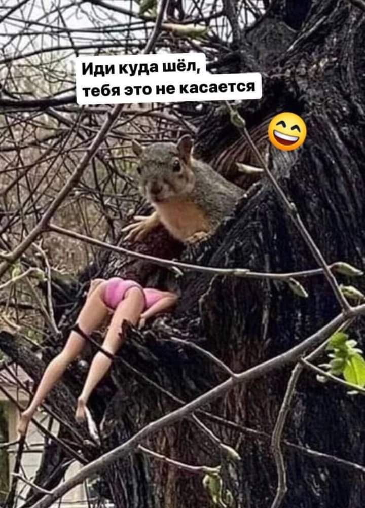 оНН Иди куда шёл тебя это не касается у