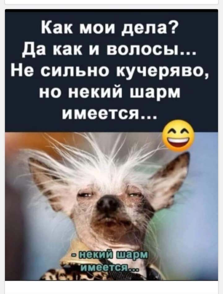 Как мои дела да как и волосы Не сильно кучеряво но некий шарм имеется
