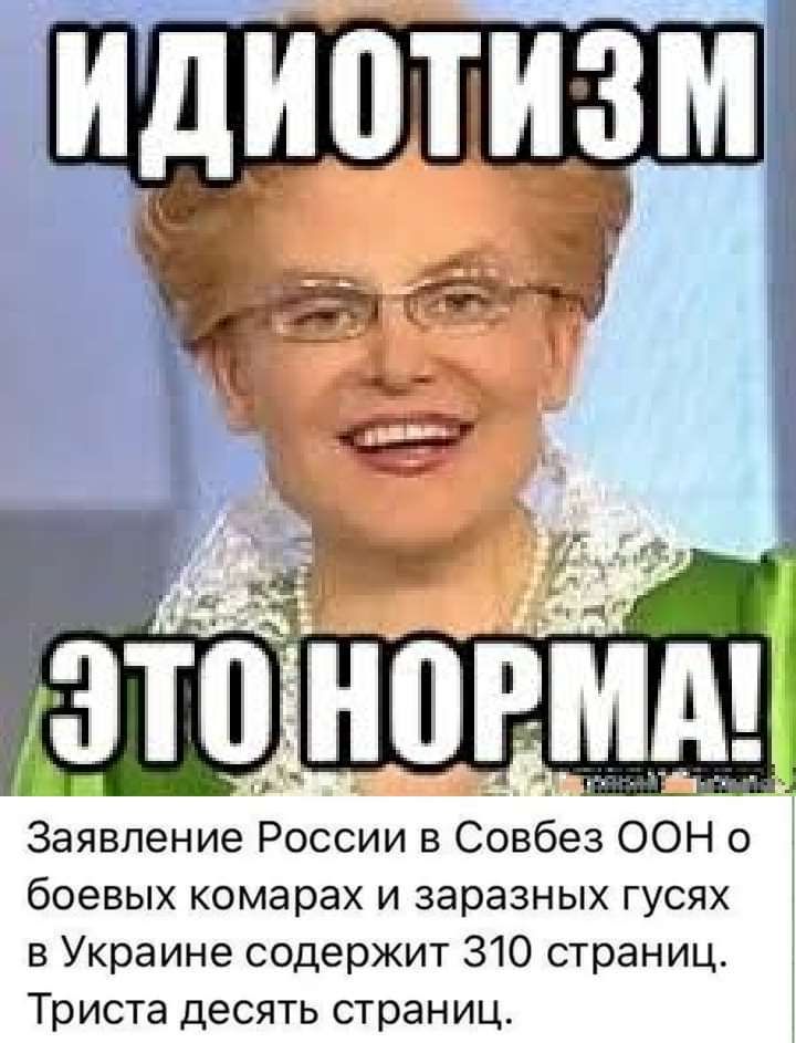Заявление России в Совбез ООН 0 боевых комарах и заразных гусях в Украине содержит 310 страниц Триста десять страниц