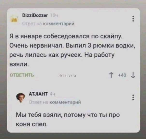 Шитова компании Я в январе сабеседовапся по скайпу Очень нервничап Выпил 3 рюмки водки речь лилась как ручеек На работу взяли пвг т 1 АТ что мужи Мы жебя взяли потому что ты про коня спел