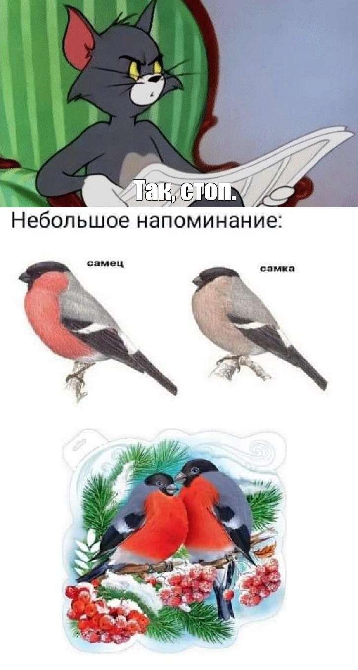 і Небольшое напоминание ам ц