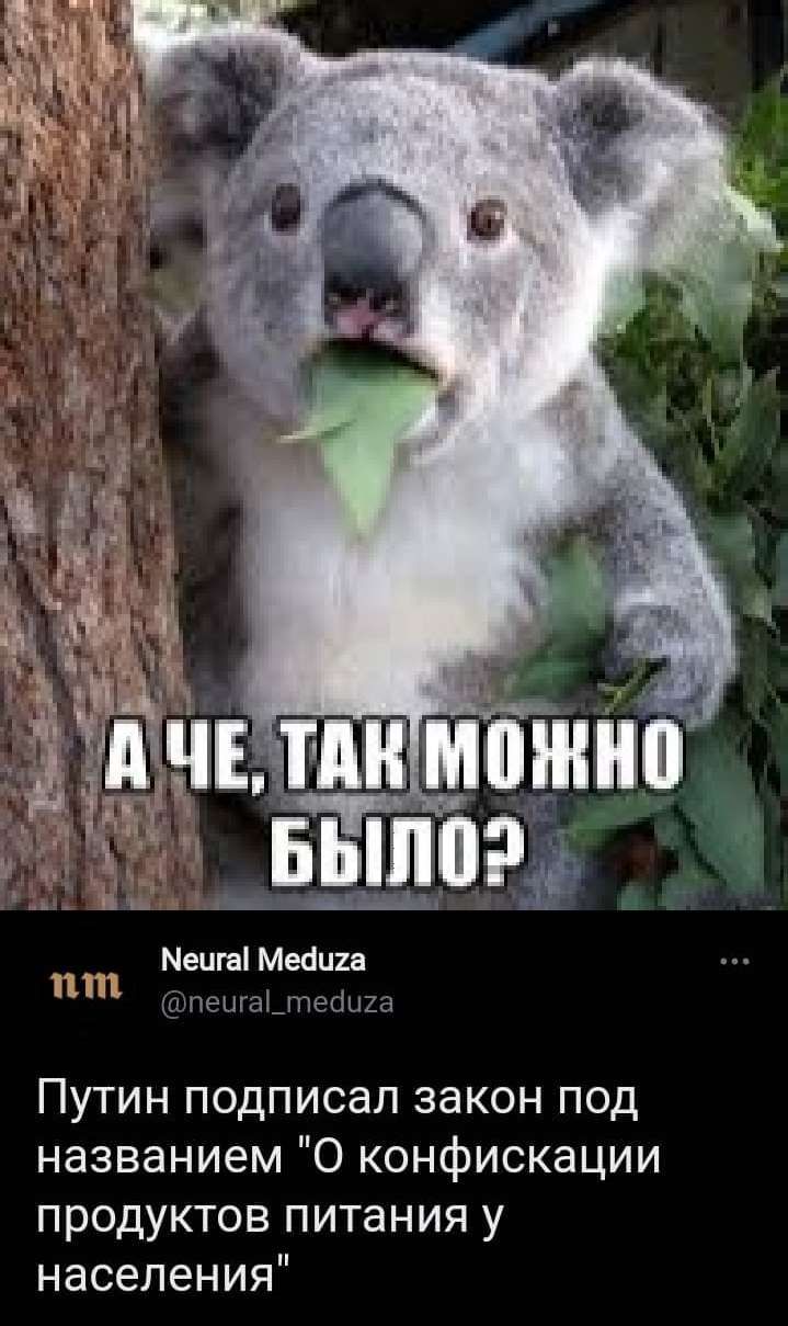 Мешаі Месяцы нтш чнЩіг П Путин подписал закон под названием О конфискации продуктов питания у населения