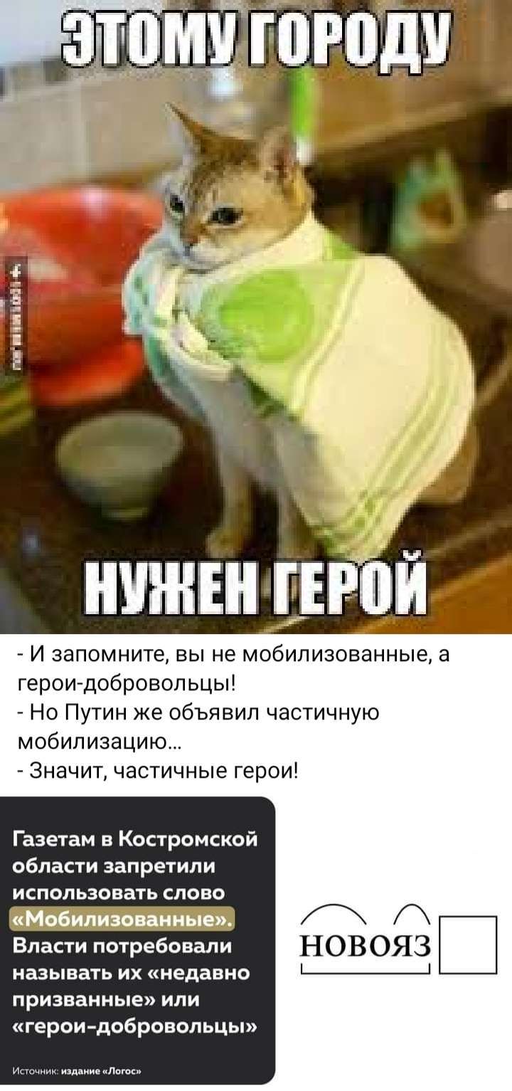 ё _ И запомните вы не мобилизованные а Героидэбровопьцы Но Путин же объявил частичную мобилизацию Значит частичные герои Газетам в Костромской области запретили использовать слово Мобилизации ян Власти потребовали называть их недавно призванные или герои добровольцы
