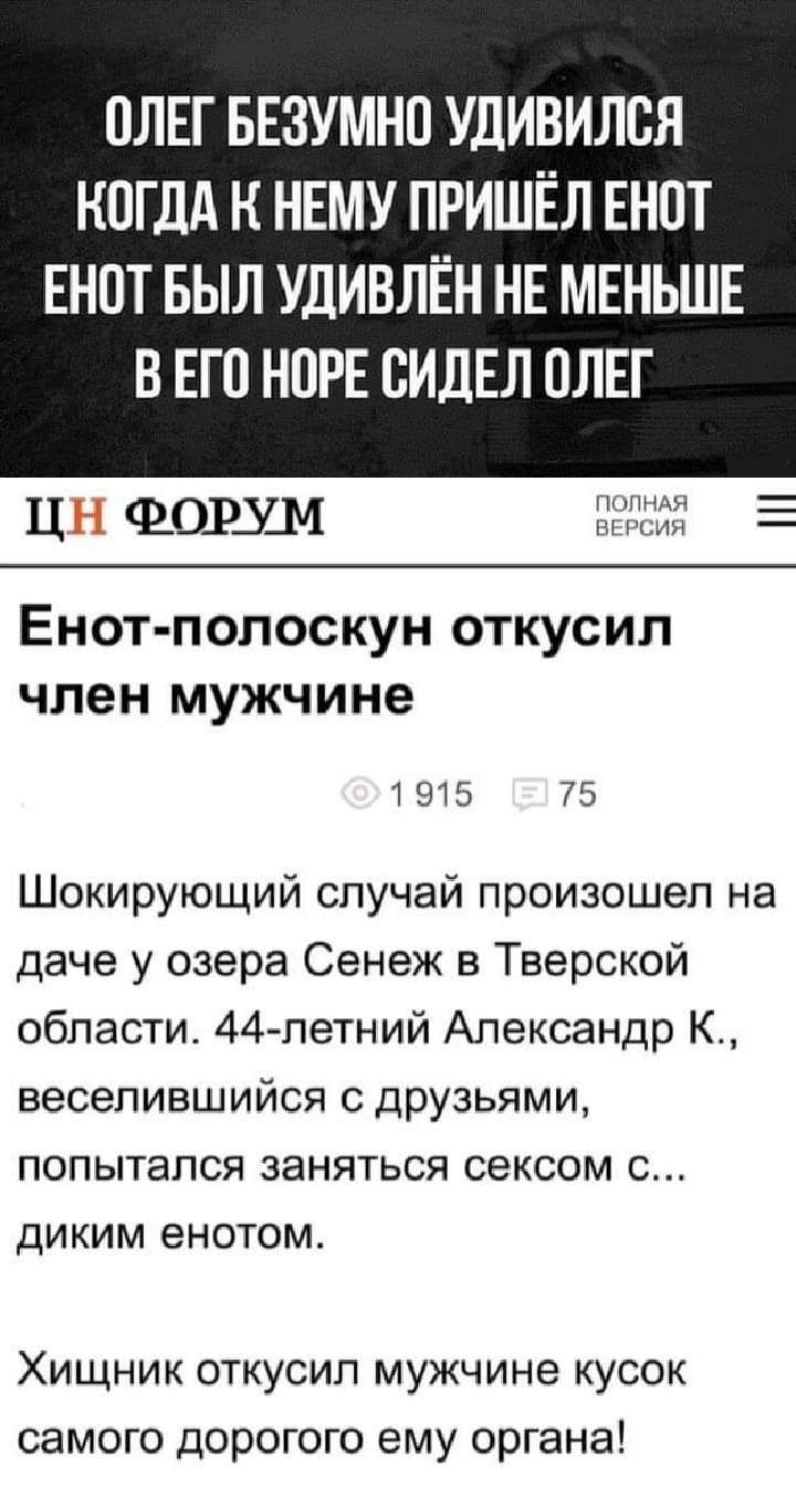 ПЛЕГ БЕЗУМНО УДИВИЛСЯ КОГДА К НЕМУ ПРИШЁЛ ЕНОТ ЕНОТ БЫЛ УДИВЛЁН НЕ МЕНЬШЕ В ЕГО НПРЕ ВИДЕЛ ОЛЕГ ц ФОШМ а Енот попоскун откусил член мужчине 1915 75 Шокирующий случай произошел на даче у озера Сенеж в Тверской области 44летний Александр К весепившийся С друзьями попытался заняться сексом с диким енотом Хищник откусил мужчине кусок самого дорогого ему органа
