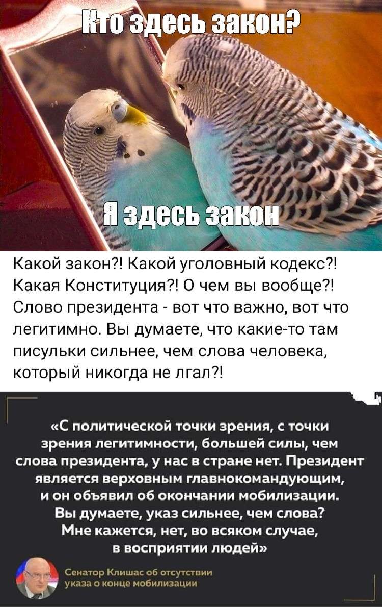 Какой закон Какой уголовный кодекс Какая Конституция О чем вы вообще Слово президента вот что важно вот что легитимно Вы думаете что какието там ПИСУПЬКИ СИПЬНЕЕ ЧЕМ СПОВЗ человека который никогда не лгал с политической точки зрения с точки зрения легитимносги бальшей силы чем слова президеип у нас в стране нет Президент является верховным гпавиоквмаидующим и он объявил об окончании мобилизации Вы