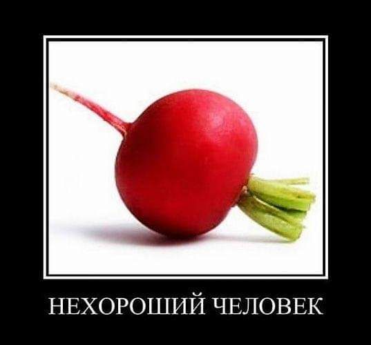 НЕХОРОППИЙ ЧЕЛОВЕК