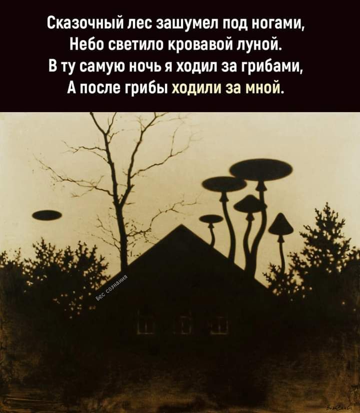 Сказочный лес зашумеп под ногами 60 светило кровавой пуипй В ту самую иочья ходил за грибами А после грибы ходили за мной