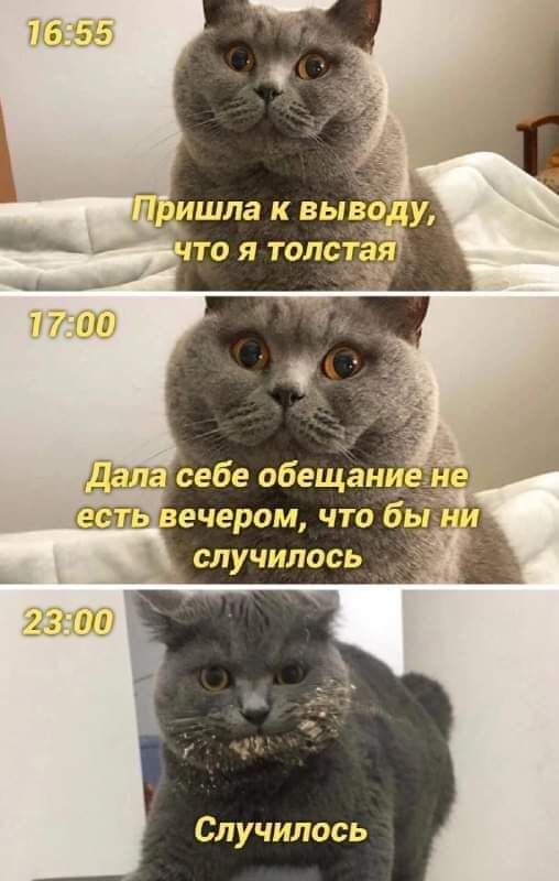 Случилось