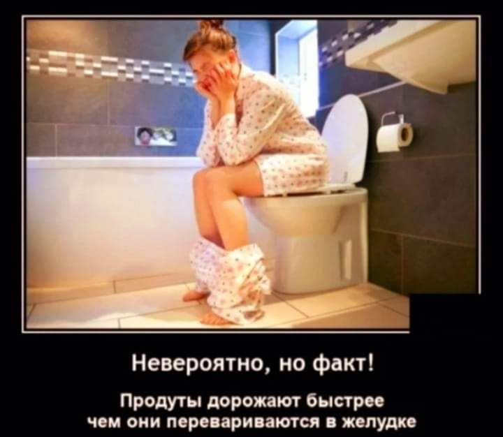 Невероятно но факт Проди дорожит вы чем вии перс принята плут