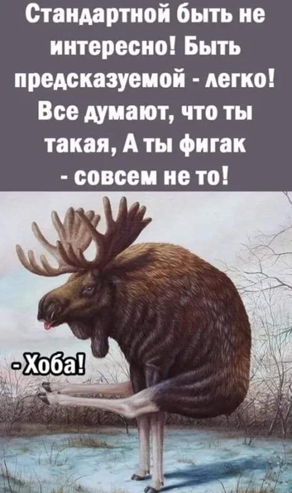 Стандартной быть не интересно Быть предсказуемой легко Все думают что ты такая А ты фитак совсем не то