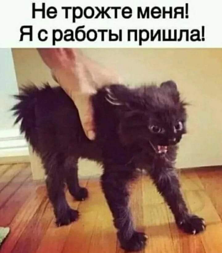 Не трожте меня Я с работы пришла