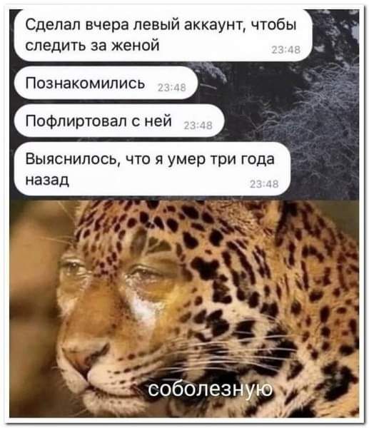 Сделал вчера левый аккаунт чтобы следить за женой Познакомились Пофпиртовал ней Выяснилось что я умер три года назад