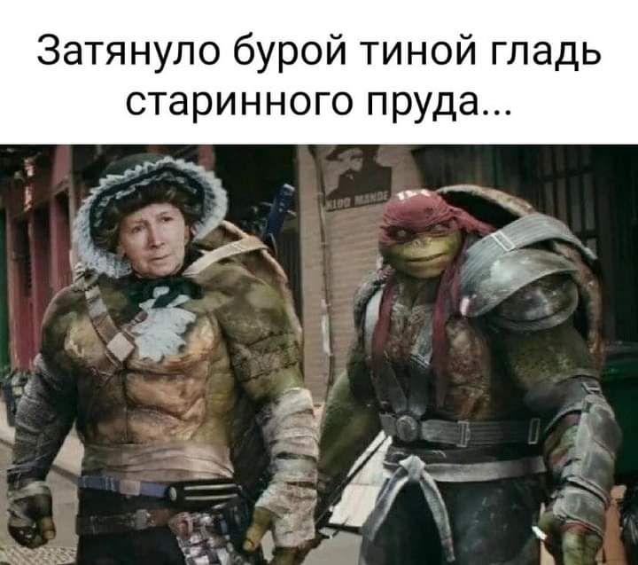 Затянуло бурой тиной гладь старинного пруда