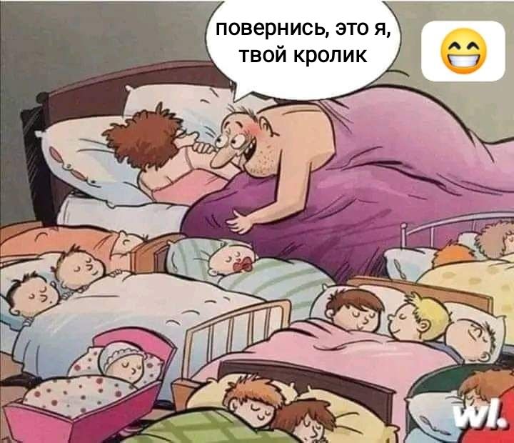 повернись это я твой кролик _