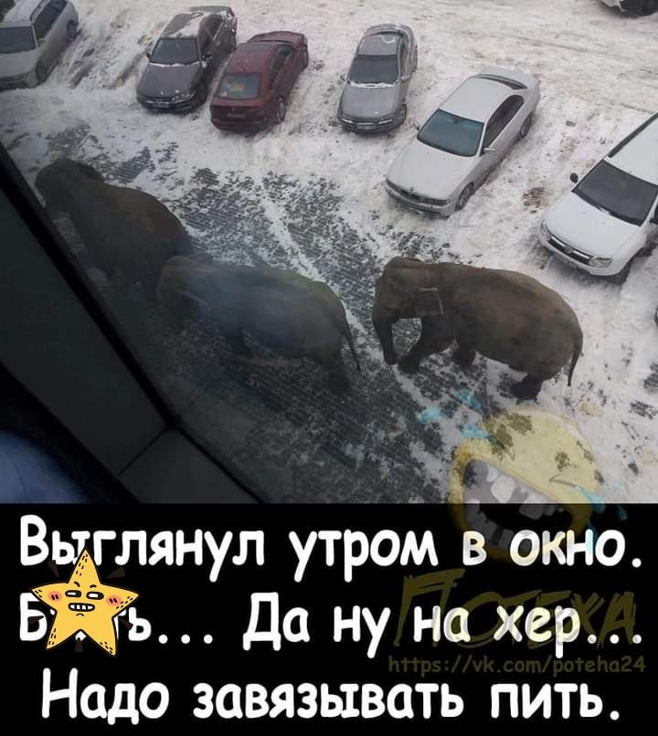 Вы лянул утром в окно Бгь Да ну на хер Надо завязывать пить