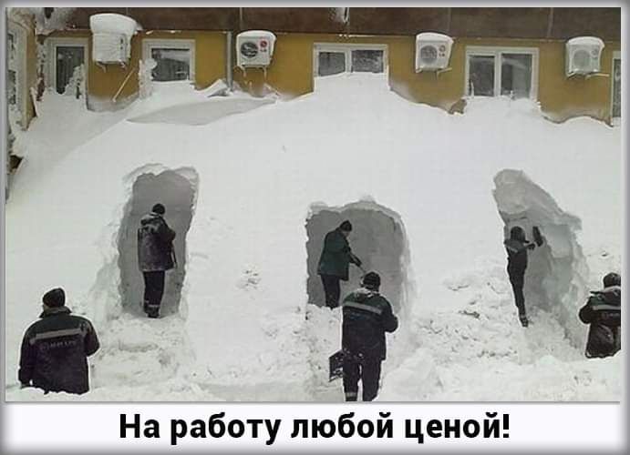 На работу любой ценой