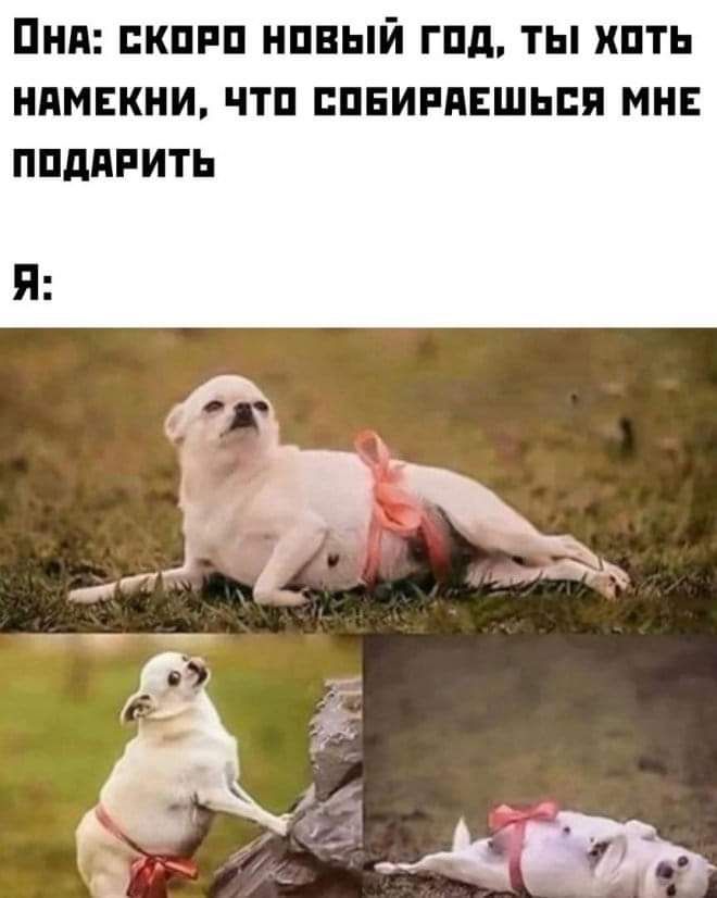 ПНП ШШРП НПЕЫЙ ГПд ТЫ ХПТЬ НПМЕКНИ ЧТП ЕПЕИРПЕШЬПП МНЕ ППдПРИТЬ