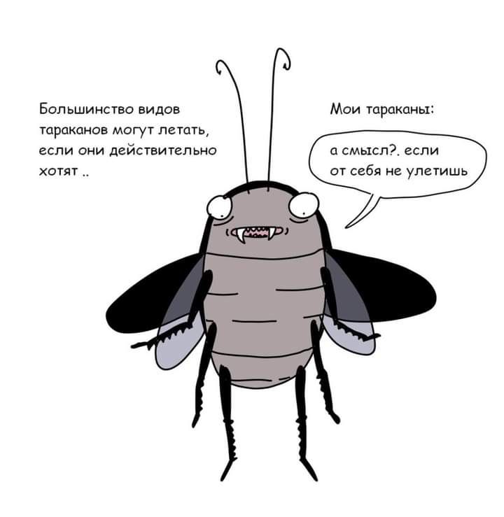 золш трахеи х тараканов маги и если они дейывиппьна смысл сибя ул