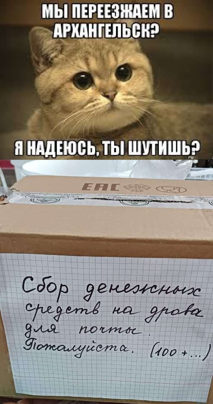 МЫ ПЕРЕЕЗНЩШ В СдЪэ дві Мдя щйэтщ д