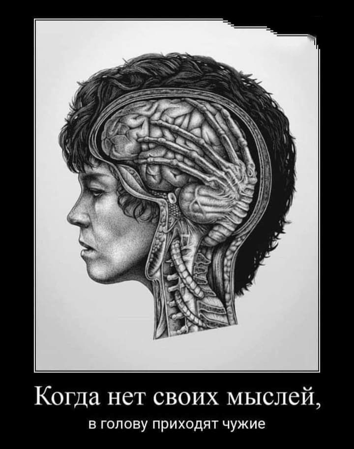 Когда нет своих мыслей в голову приходят чужие