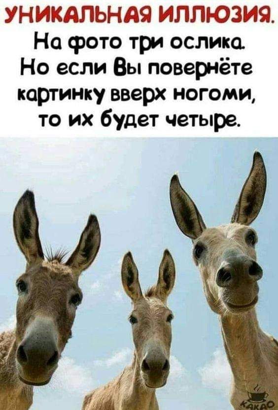 УНР КЛПЬНДЁЗ ИППП 3849 На фото три ослика Но если Вы повернёте картинку вверх ногами то их будет четыре