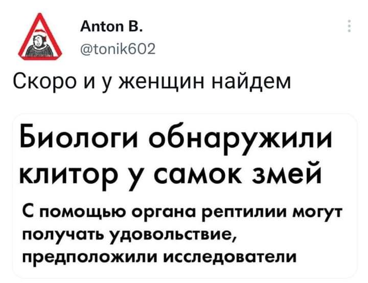 Апіоп В опіКбОЕ Скоро и у женщин найдем Биологи обнаружили клитор у самок змей С помощью ОРГОна рептилии могут получать удовольствие предположили исследователи