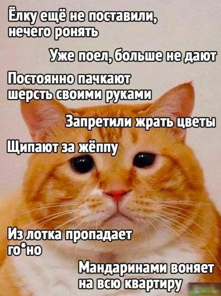 ЁЩЕЁ_2 п Ш _ ЩЗЭЗШЩЕШЬМ ЩТШШЭЗЕБ ЁЩ п попада Йг пашэшхшцдуш