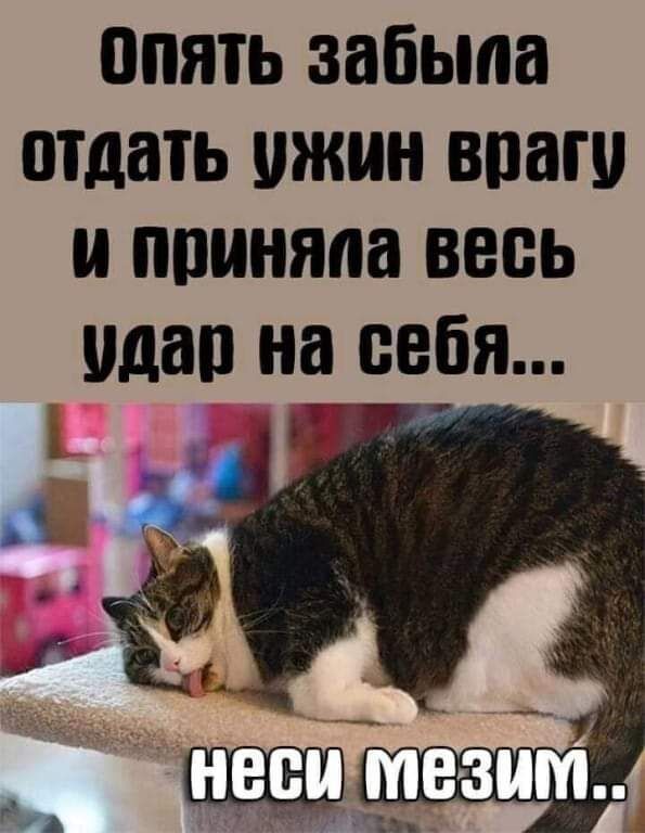 ВПЯТЬ забыла отдать ЖИ врагу И приняла ВЕВЬ удар на себя Р