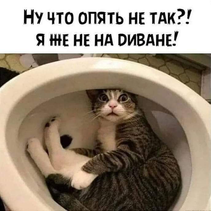 НУ что опять не тдк я же не нд оивднв
