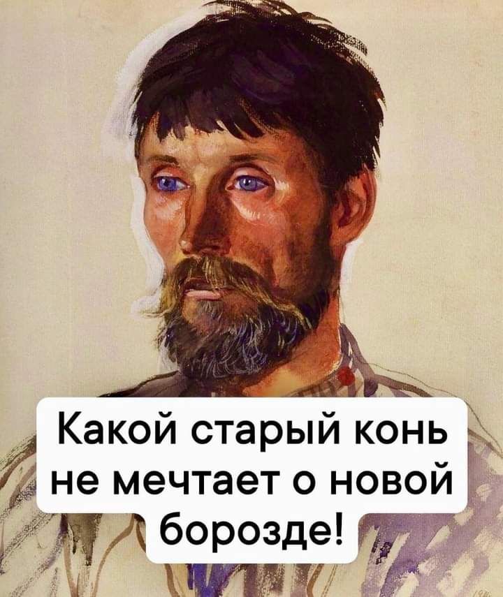 Какой старый конь а не мечтает о новой Ё М А борозде 1 Ша