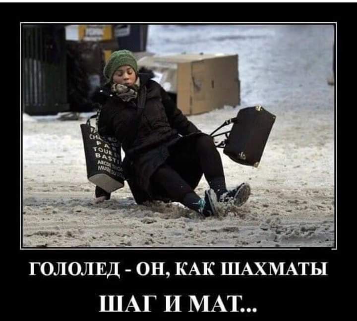 гололид _ он КАК ШАХМАТЫ ШАГ И МАТ