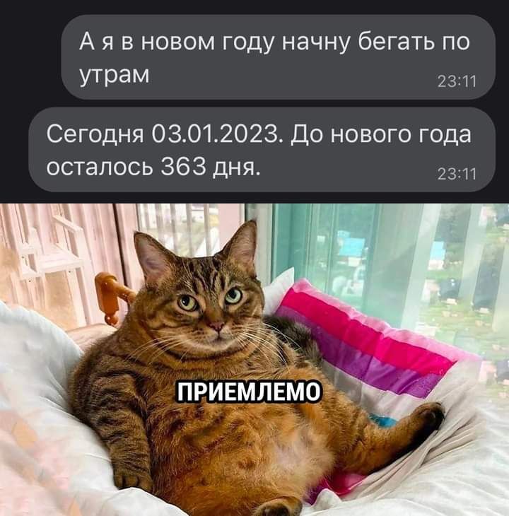 А я в новом году начну бегать по утрам 23 м Сегодня 03012023 до нового года осталось 363 дня ПРИЕМЛЕМО