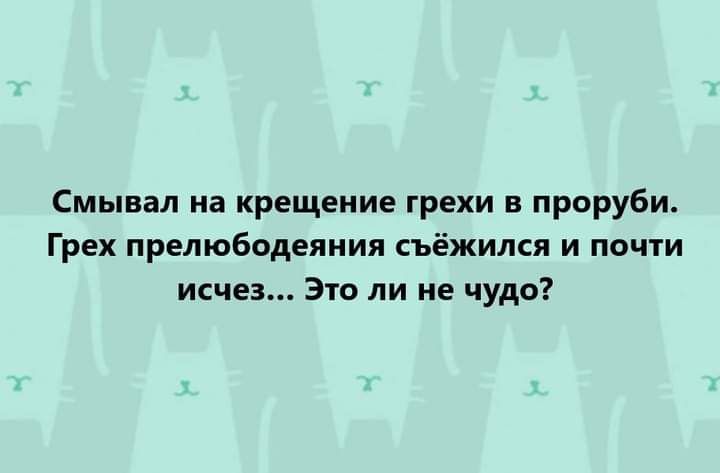 Смывал на крещение грехи в проруби Грех прелюбодеяния ъёжился и почти исчез Это ли не чудо