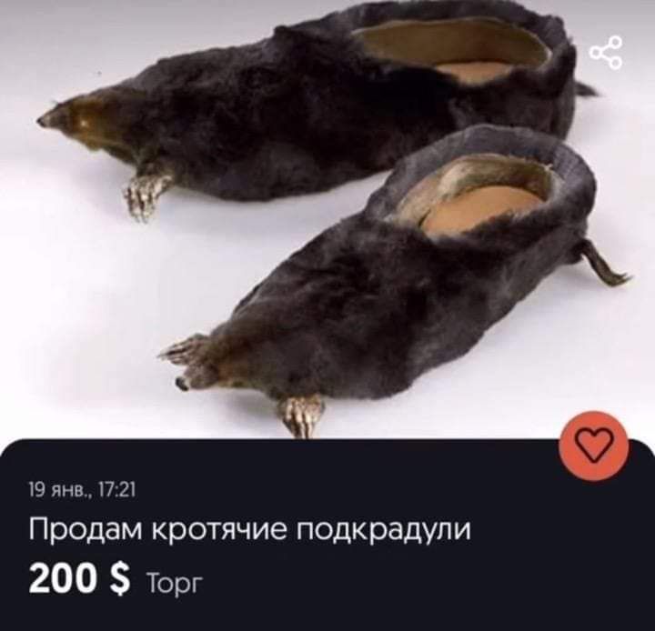 гл Продам кротячие подкрадупи 200 Торг